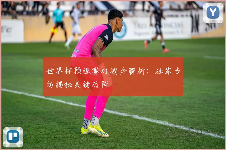 世界杯预选赛对战全解析：独家专访揭秘关键对阵