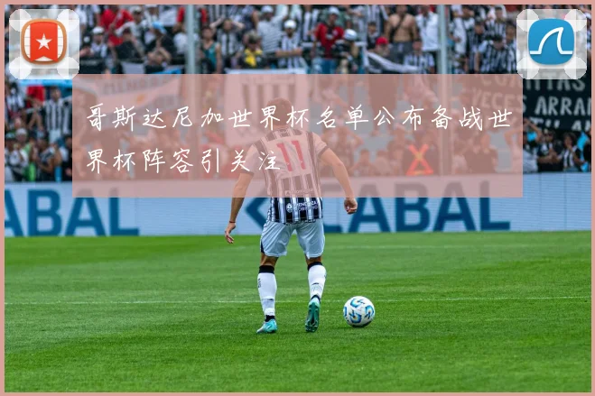 哥斯达尼加世界杯名单公布备战世界杯阵容引关注