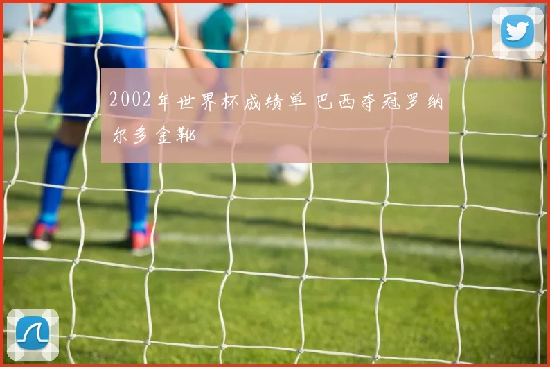 2002年世界杯成绩单 巴西夺冠罗纳尔多金靴