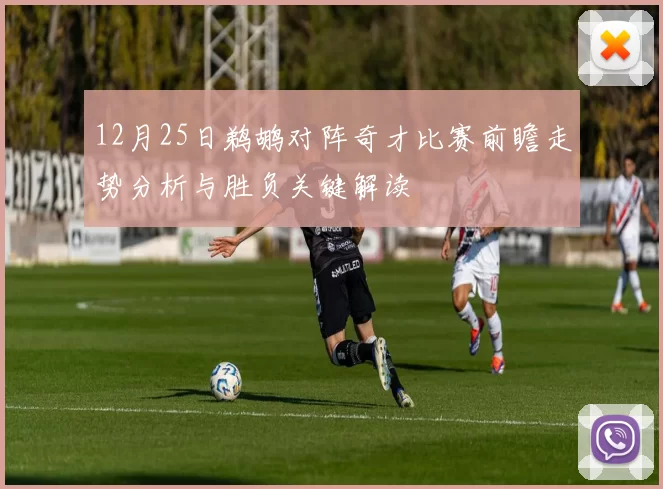 12月25日鹈鹕对阵奇才比赛前瞻走势分析与胜负关键解读