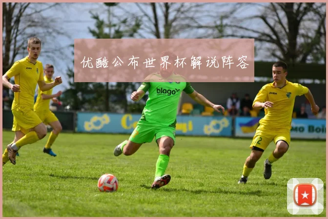 优酷公布世界杯解说阵容