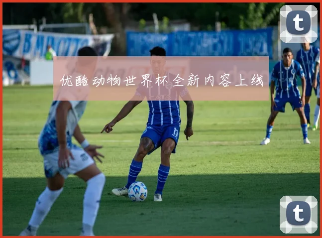 优酷动物世界杯全新内容上线