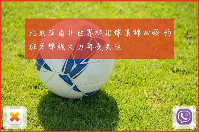 比利亚南非世界杯进球集锦回顾 西班牙锋线火力再受关注