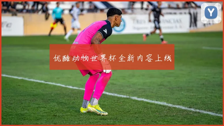 优酷动物世界杯全新内容上线